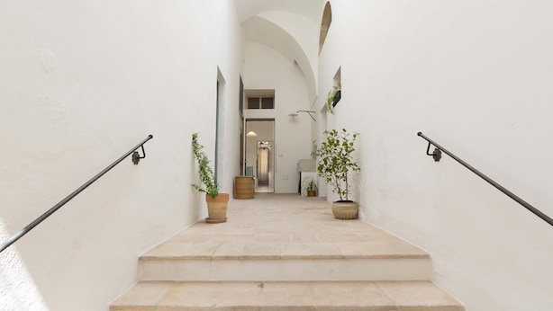 Un escalier aux murs blancs, avec deux plantes en pot de chaque côté.