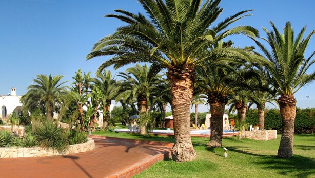 A landscaped garden with palm trees, a stone pathway, and a white building with arches in the background. - 2099 Villa Arkè (Alliste)