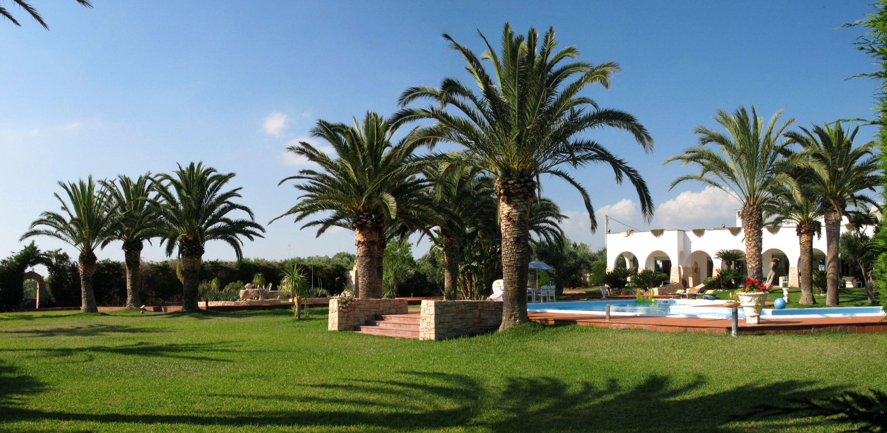 Un jardín bien cuidado con palmeras, una piscina y un edificio blanco con arcos.