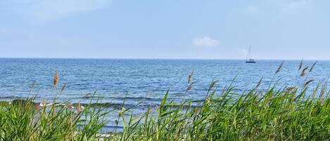 Beach nearby, fishing