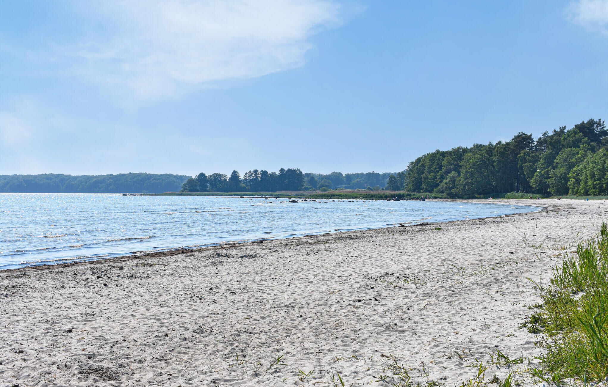 Une plage de sable fin, une mer calme et une côte bordée d’une forêt.