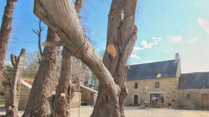 Un bâtiment rustique en pierre, avec un grand arbre au premier plan.