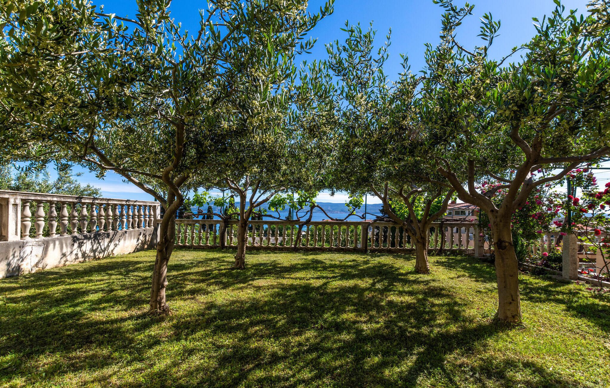 Ein Garten mit Steinsims, Bäumen und Blick auf das Meer.