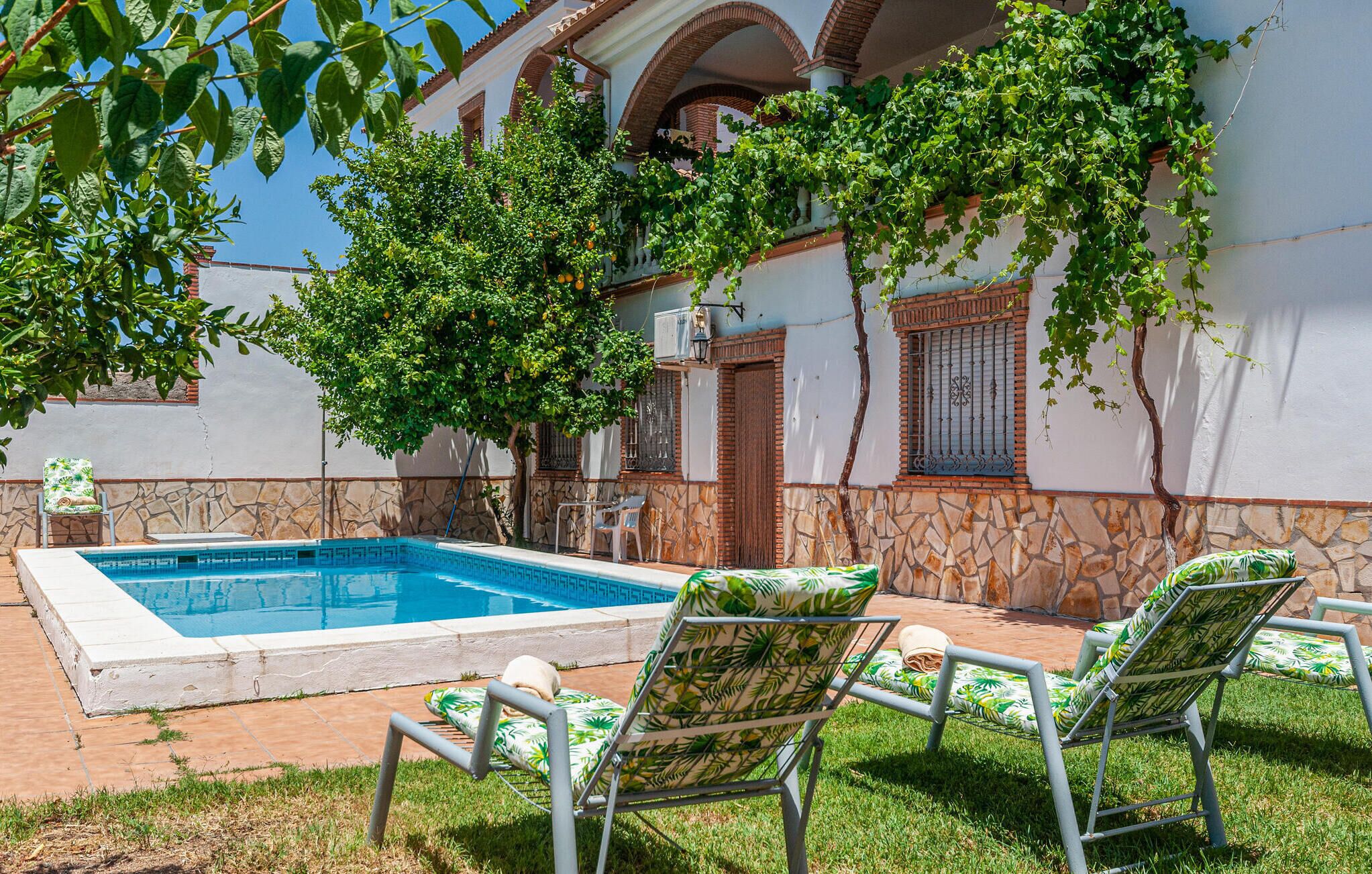 Piscine extérieure, chaises longues