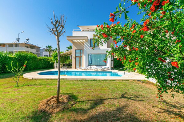 Garden view
