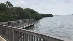 A wooden pier extending into calm water, surrounded by dense greenery.