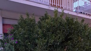 Varanda com guarda-corpo branco, cercada por vegetação densa e algumas plantas floridas.