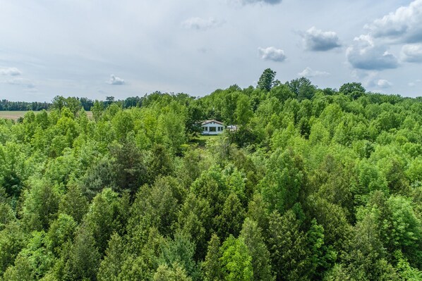 Miscellaneous - Secluded 3 bedroom bungalow on the Saugeen River with 85-acres. (Paisley)