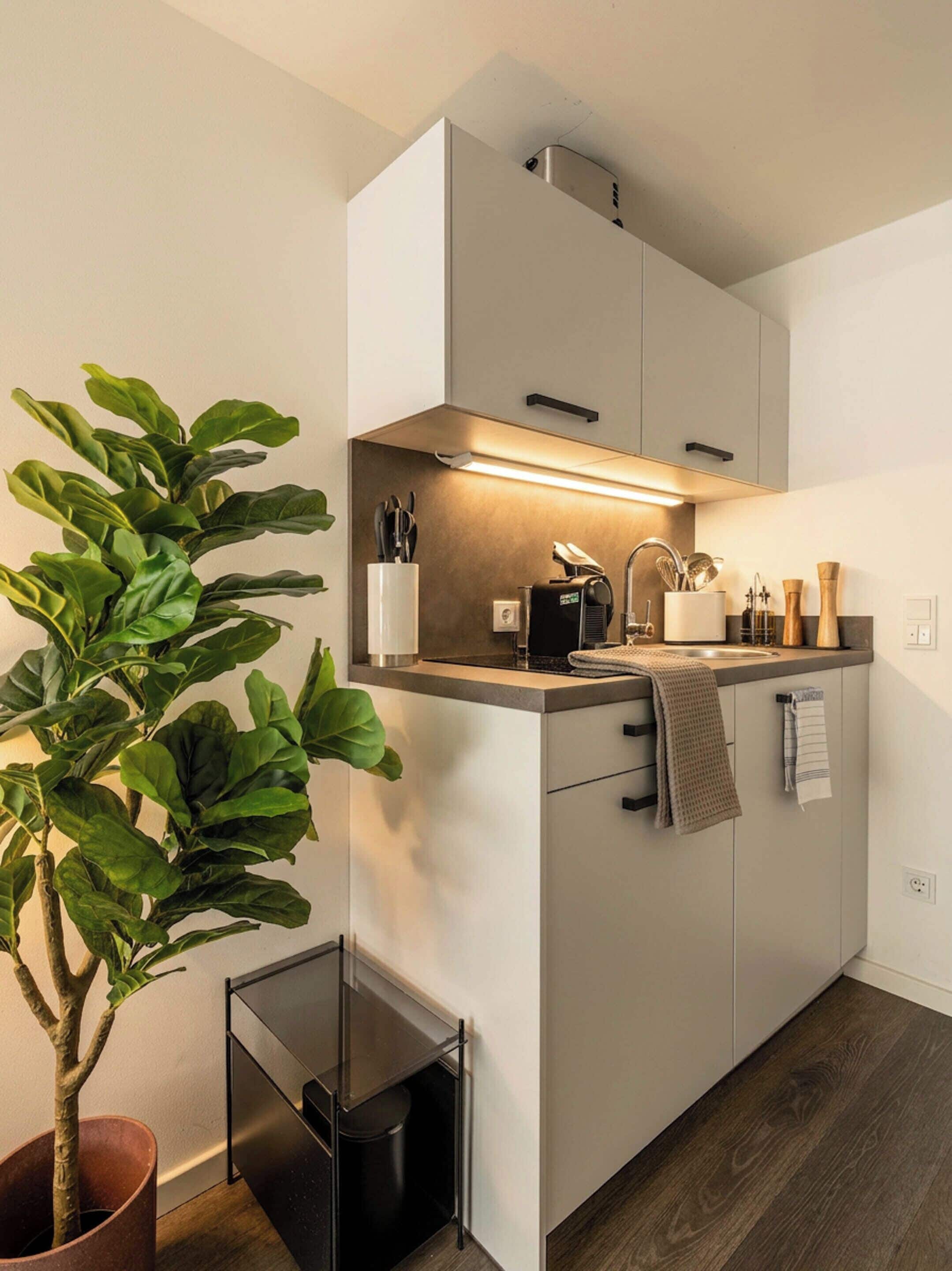 Suite | Cozinha privada | Geladeira, máquina de café expresso, chaleira elétrica, mesas de jantar