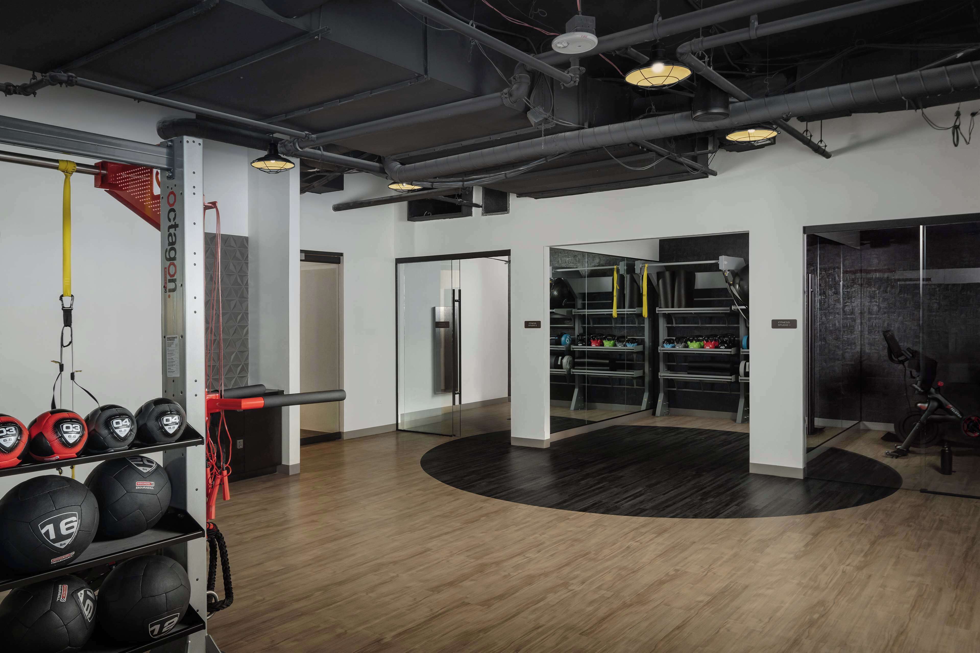 A gym with exercise equipment, a pull-up bar, and a rack of medicine balls.
