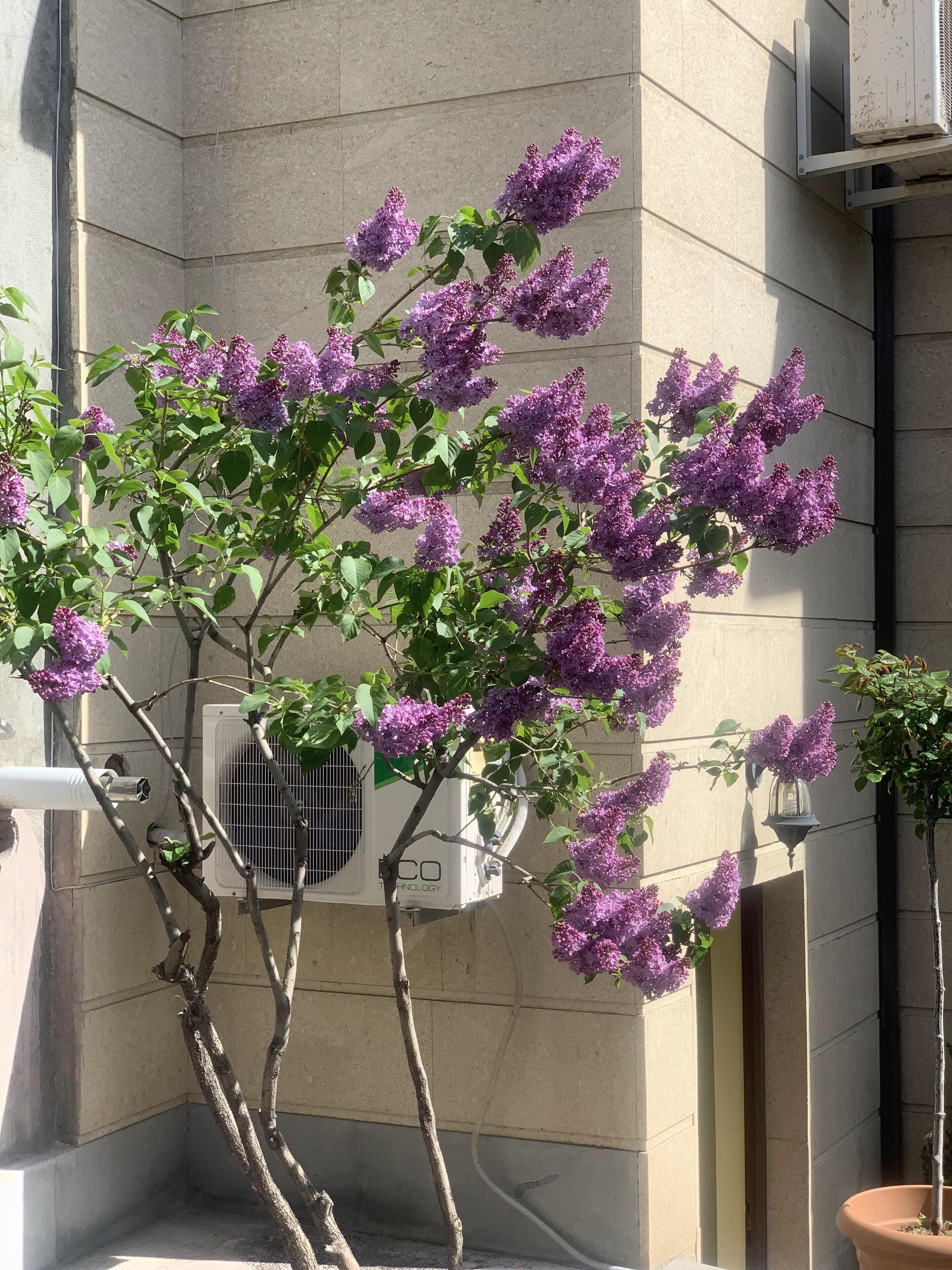 Overnatningsstedets facade