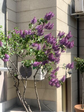 Front of property - 3 room apartment on Baghramyan (Yerevan)