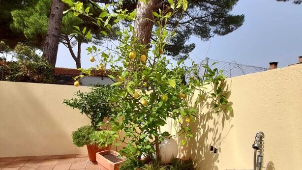 A patio with a sink, potted plants, and a pool. - Villa de Rêve à 200 Mètres de la Plage de Riells (L'Escala)