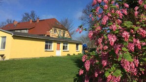 Una casa amarilla con techo rojo, césped verde y un árbol en flor.