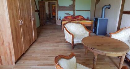 Meerblickwohnung - meerzauber. Gutshaus Reidervitz mit großem Lindengartenarten