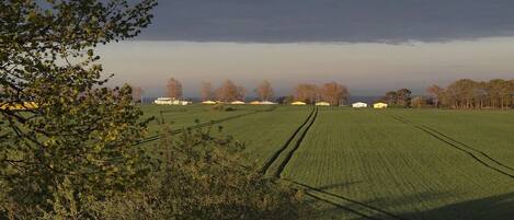 Een landelijk landschap met een veld, bomen en enkele gebouwen in de verte.