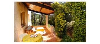 Gîte in a peaceful setting between olive trees and swimming pool