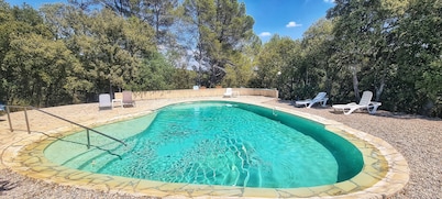 Gîte in a peaceful setting between olive trees and swimming pool