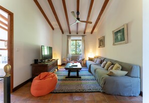 Smart TV, fireplace, books