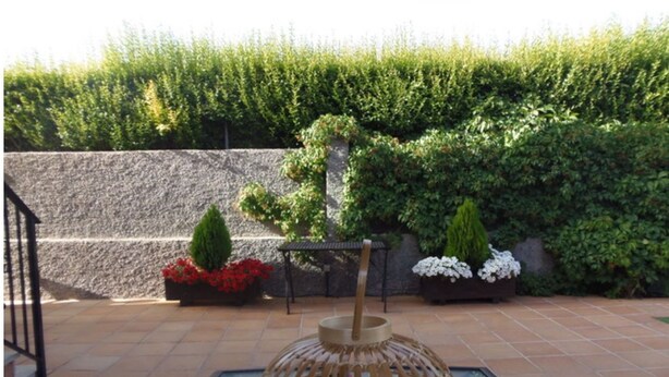 A patio with a glass table, wicker lantern, and potted plants against a stone wall and lush greenery.