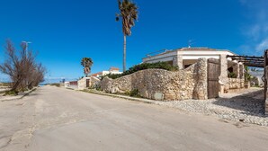 Une rue tranquille, bordée de murs en pierre et agrémentée d’un palmier.