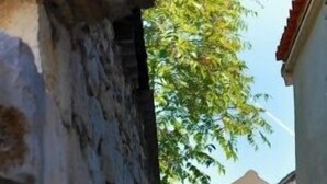 Un étroit arc en pierre mène à un bâtiment doté d’une porte verte et d’un escalier.