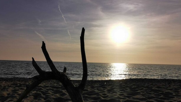 Una playa con una gran estructura de madera desgastada en primer plano y el sol poniéndose sobre el océano.