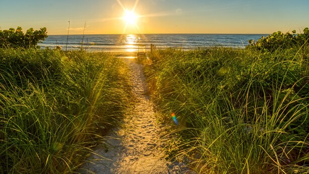 Ein Strandweg, der zum Meer führt, mit einem Sonnenuntergang im Hintergrund.