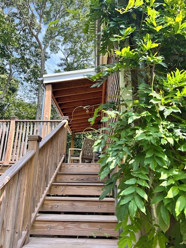 Beautiful Home with walking distance to the beach, new 46ft pool! EV charger