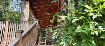 Beautiful Home with walking distance to the beach, new 46ft pool! EV charger