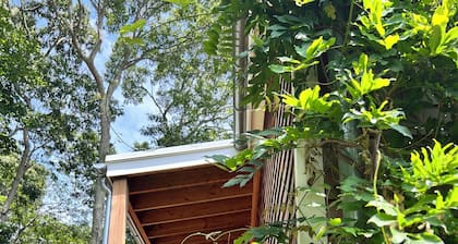 Beautiful Home with walking distance to the beach, new 46ft pool! EV charger