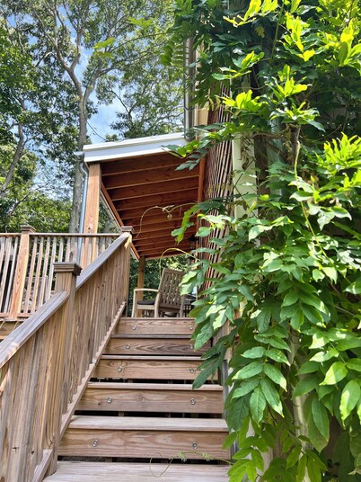 Beautiful Home with walking distance to the beach, new 46ft pool! EV charger