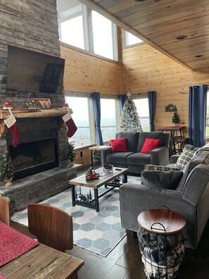 Smart TV, fireplace, books, video library