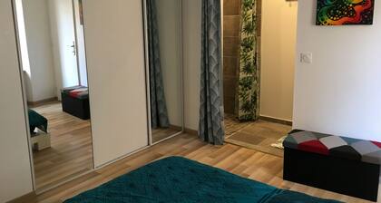 Downtown apartment on quiet street near the quays of the rhone