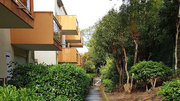 Um caminho estreito ladeado por vegetação exuberante e um edifício com varandas.