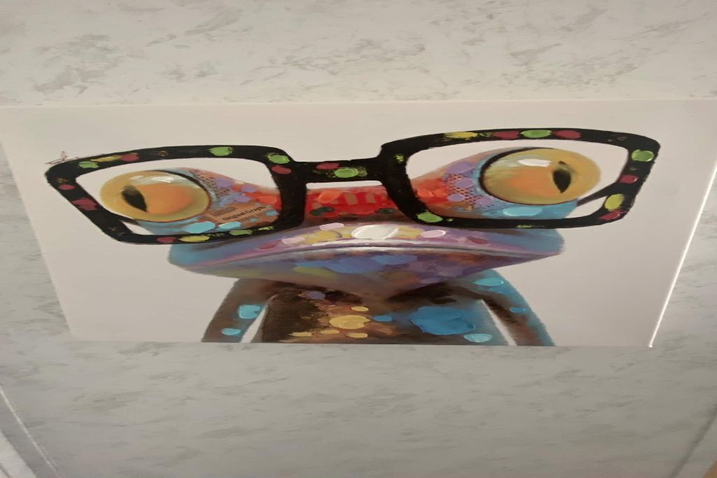 Una rana colorida con gafas.