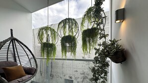 A balcony with a hanging chair, a potted plant, and a wall-mounted light fixture.