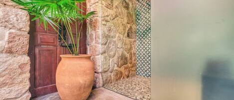 Una maceta de terracota grande con una planta verde, un muro de piedra y una puerta de madera.