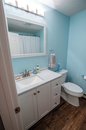 Bathroom features a white vanity with sink, mirror, and toilet.