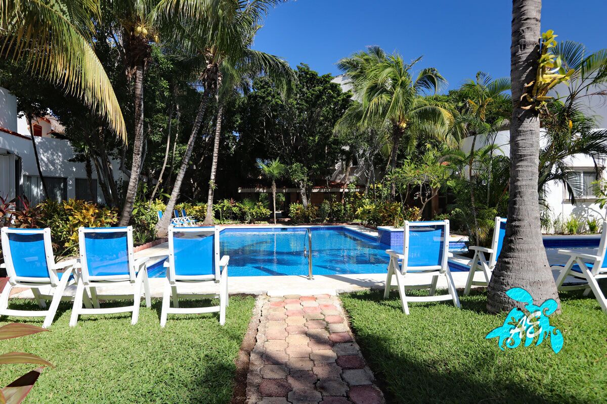 Una piscina con agua azul, rodeada de sillas reclinables blancas y palmeras.