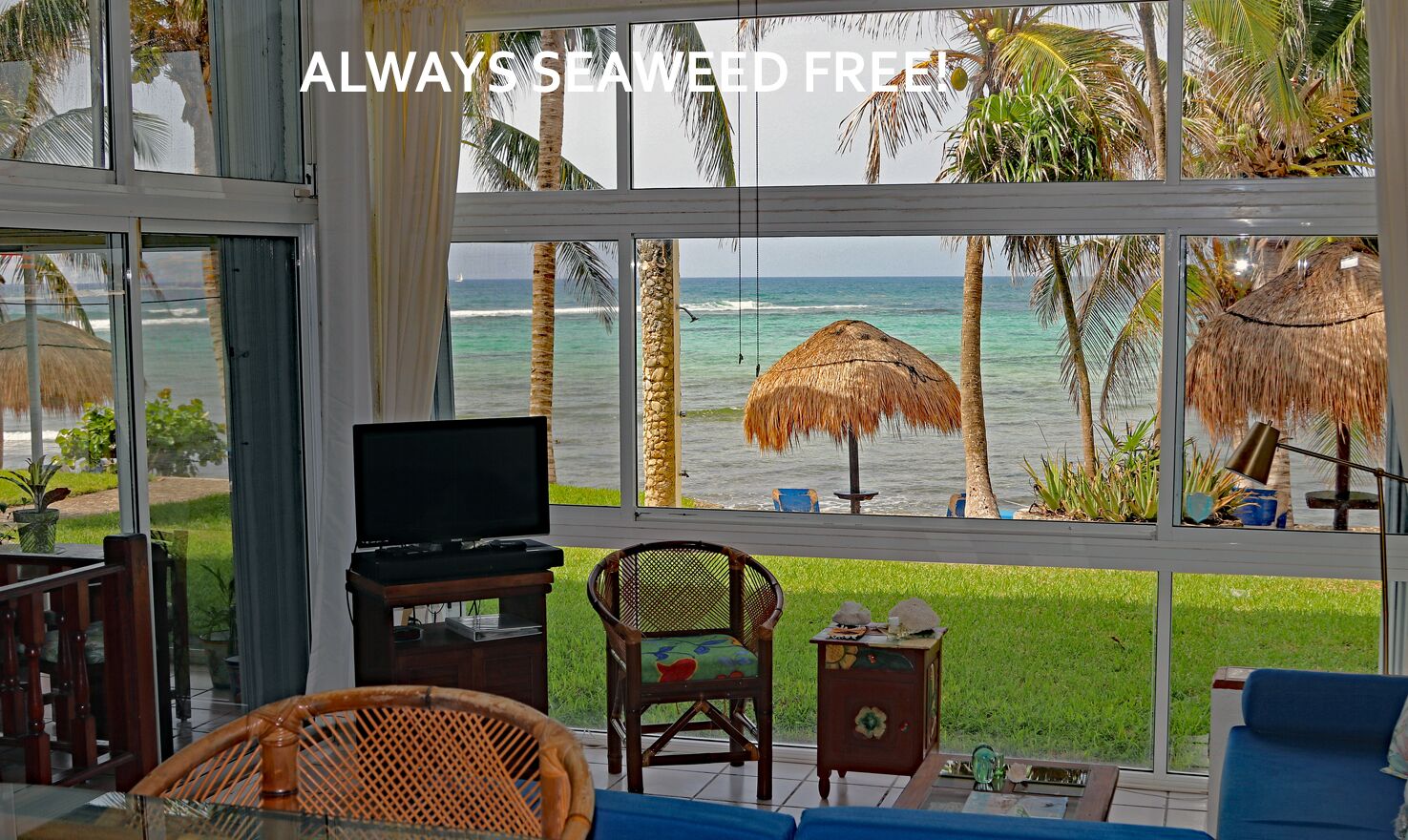 Smart-TV, DVD-Player, Bücher, Musikbibliothek