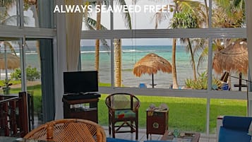 Smart TV, DVD player, books, music library