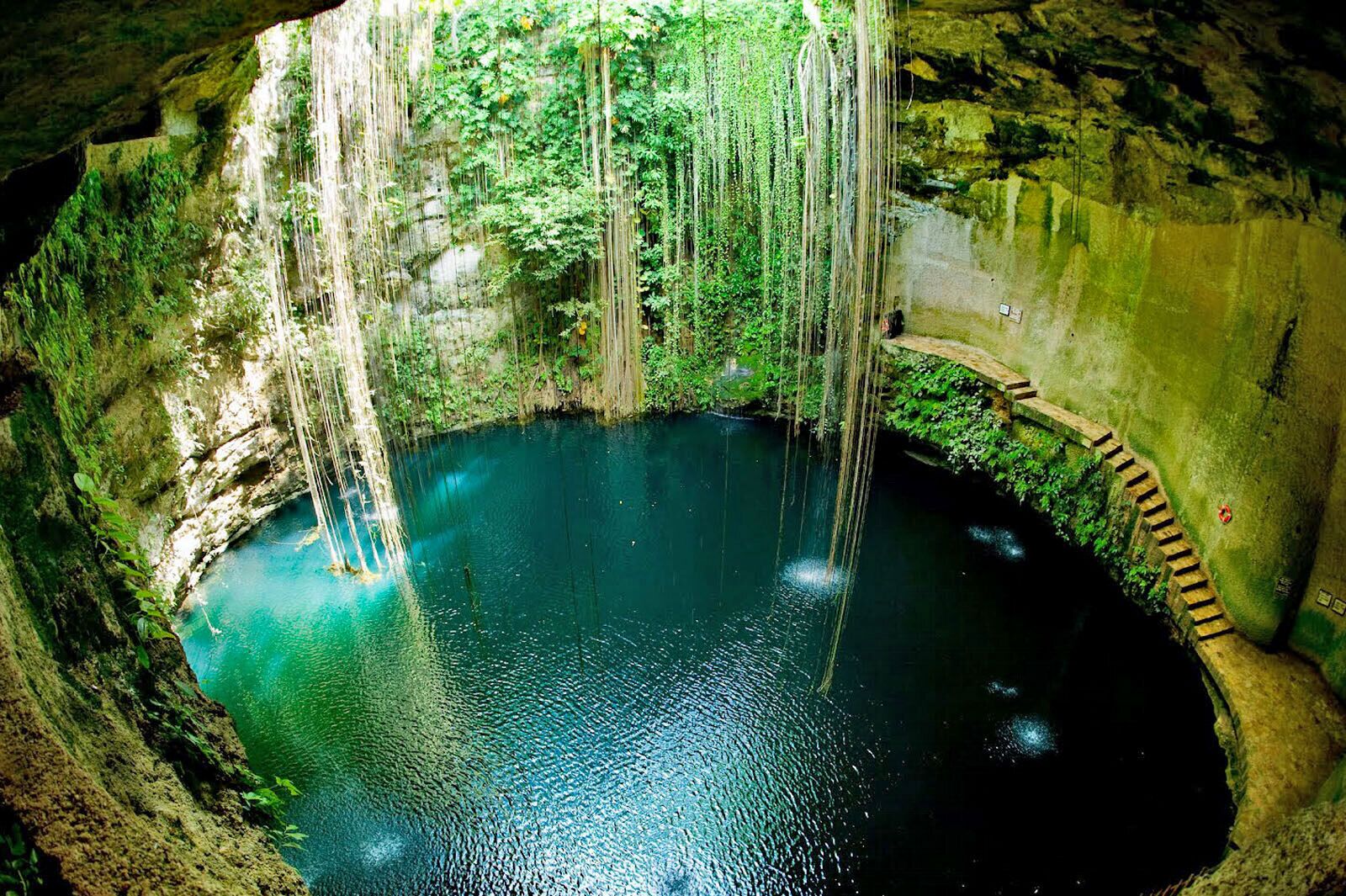 A natural cave pool with hanging vegetation and a stone staircase leading into the water.