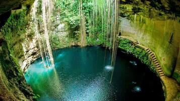 A natural cave pool with hanging vegetation and a stone staircase leading into the water.