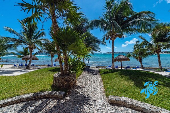 A tropical beach with palm trees, a thatched-roof hut, and a clear blue sky.