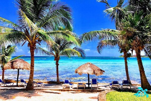 Plage, chaises longues, serviettes de plage