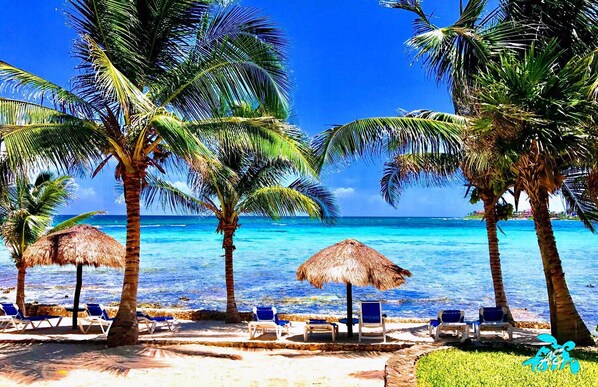 On the beach, sun-loungers, beach towels
