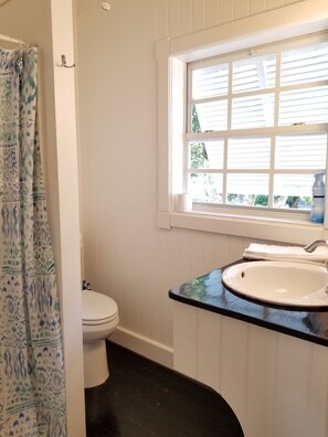 Ein Badezimmer mit Toilette, Fenster mit Jalousien, Waschbecken mit schwarzer Arbeitsplatte und einer duschkabine mit gemustertem Vorhang.