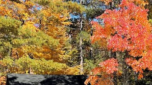 A cabin by a lake with a dock, surrounded by autumn foliage. - Cozy Lakefront Cabin Retreat: 3 Bedroom Cabin on South Twin Lake, Conover, WI (Conover)