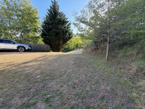 A grassy area with a vehicle parked on the left, a large tree in the center, and a wooden fence.